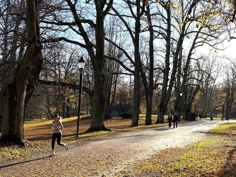 Kvinna i höstsol som joggar i Hagaparken