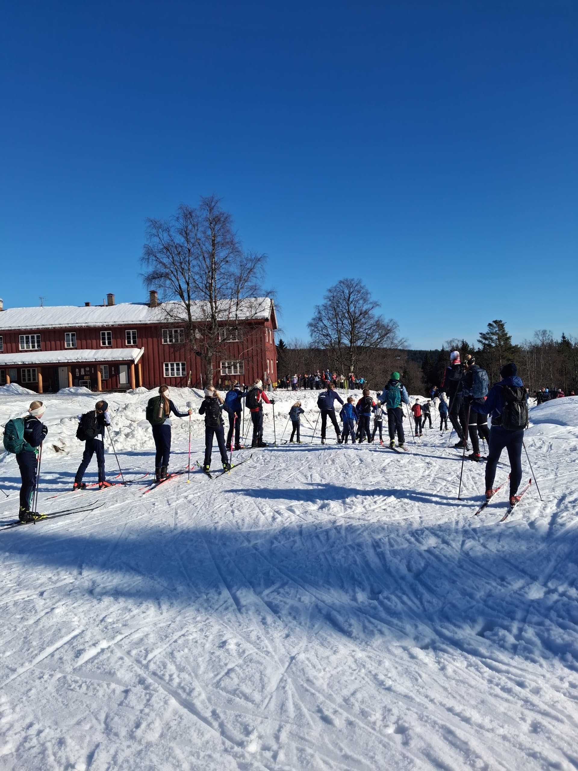 En grupp som åker längdskidor